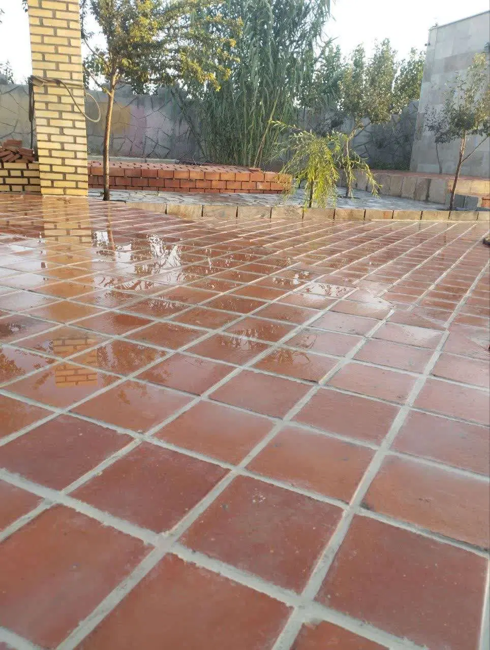 ملک با کاربری گلخانه