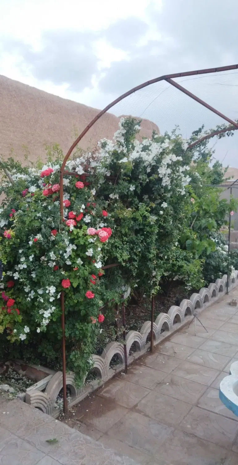 خانه باغ ۱۲ قصب لنگر
