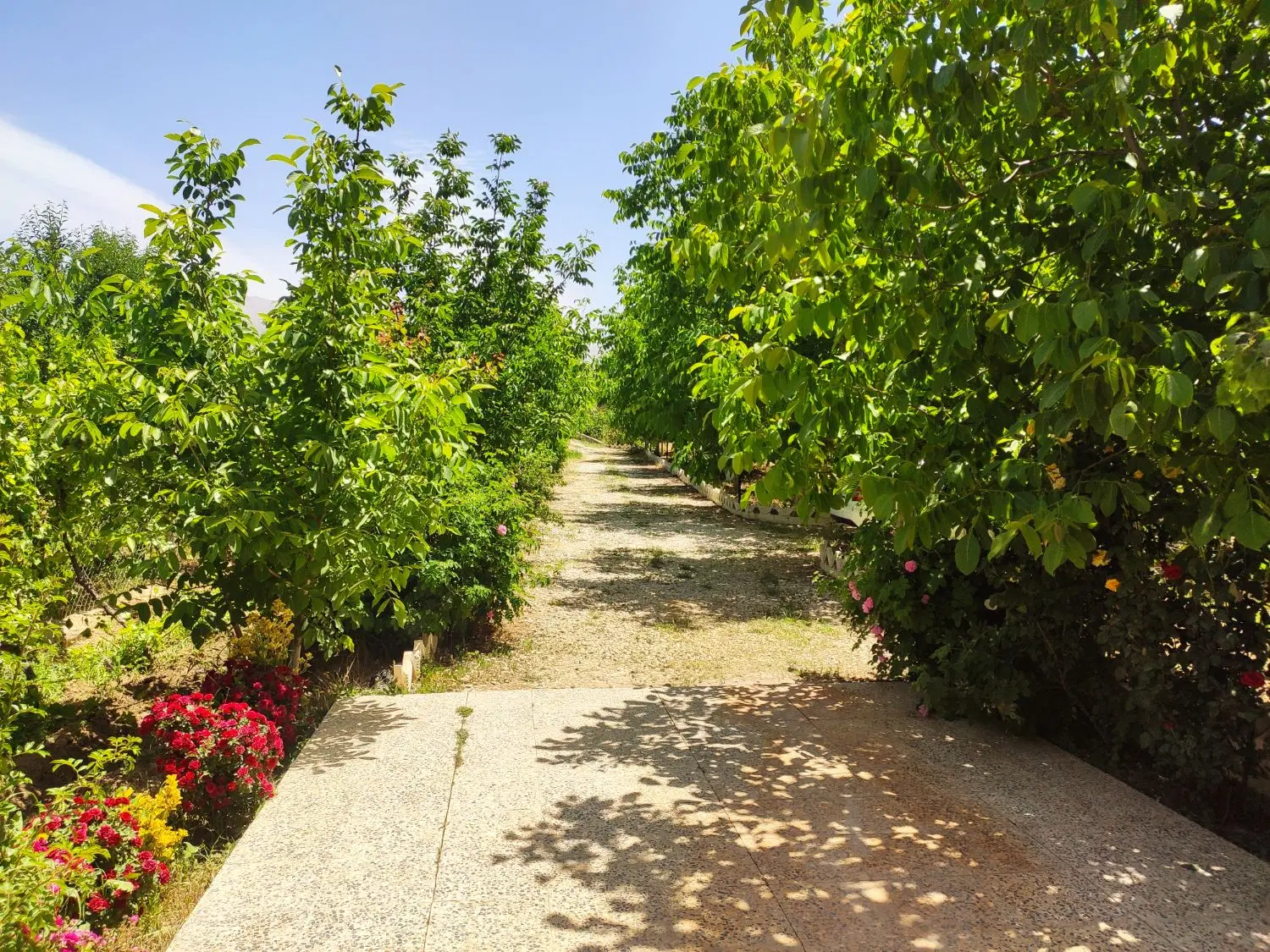 باغ ویلا شیک