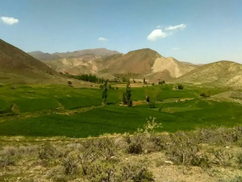 زمین ۷۰۰ متر روستای علاقه جلگه رخ