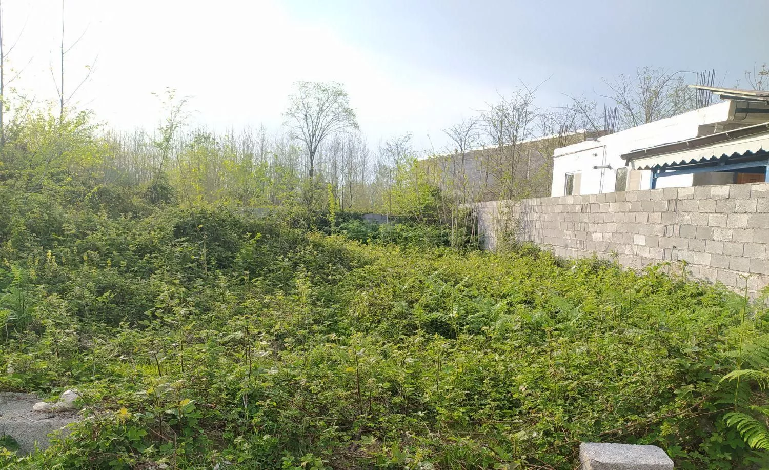 زمینی به متراژ 230. روستایی