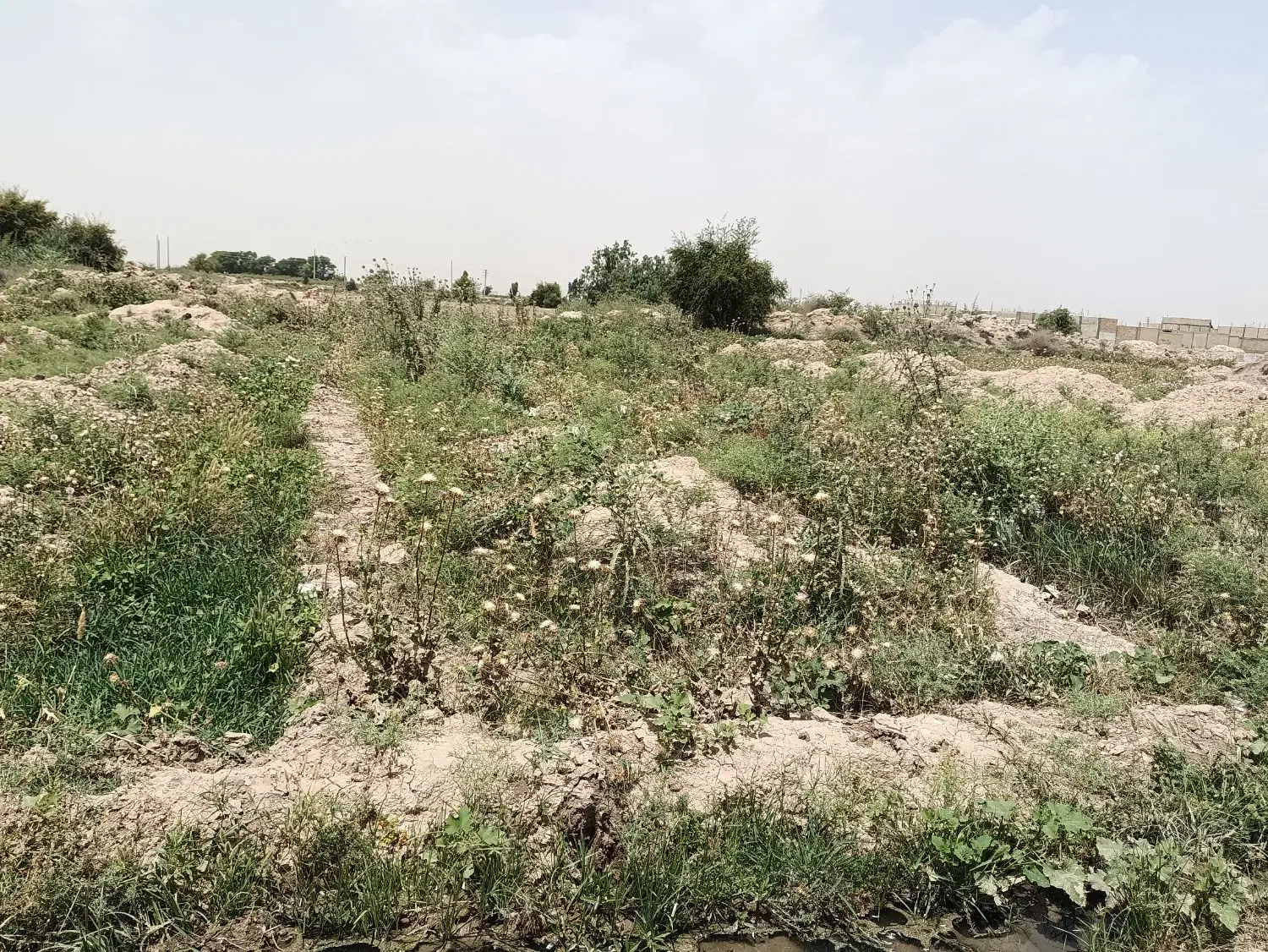 فتح چهار