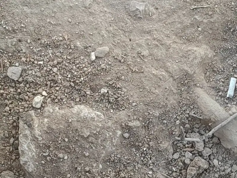 زمین کلدوزخ 2