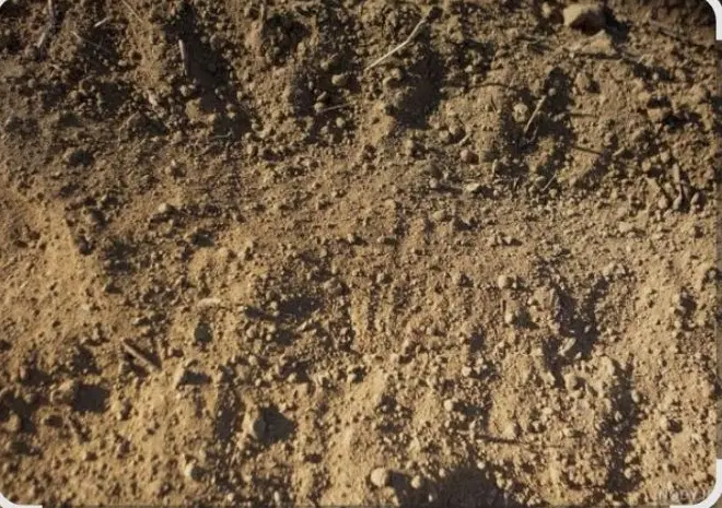 فروش زمین مسکونی و تجاری