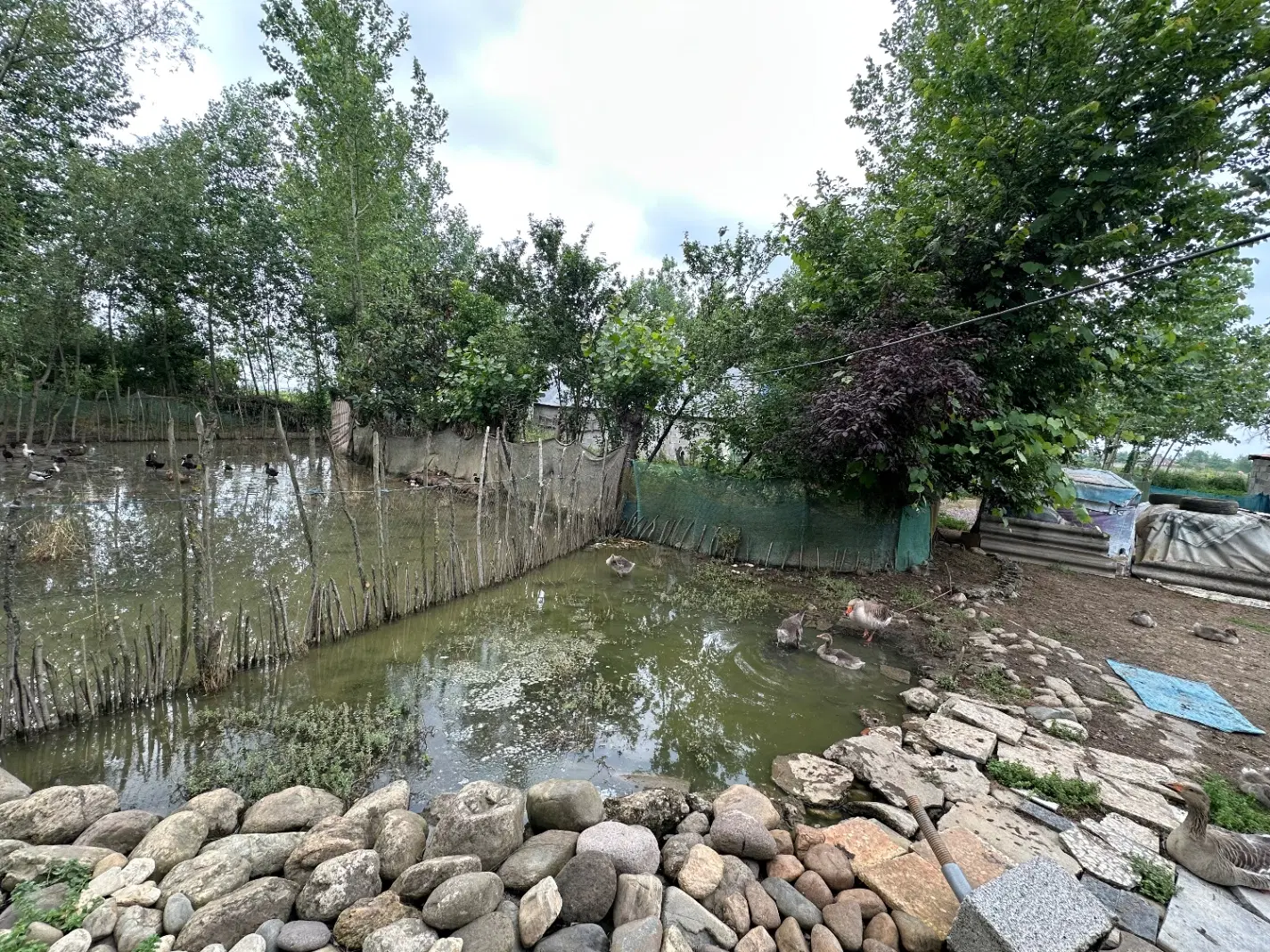 زمین باغی