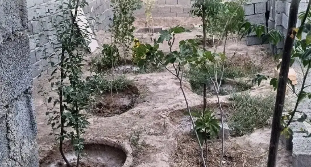 باغچه نقلی 200 متری