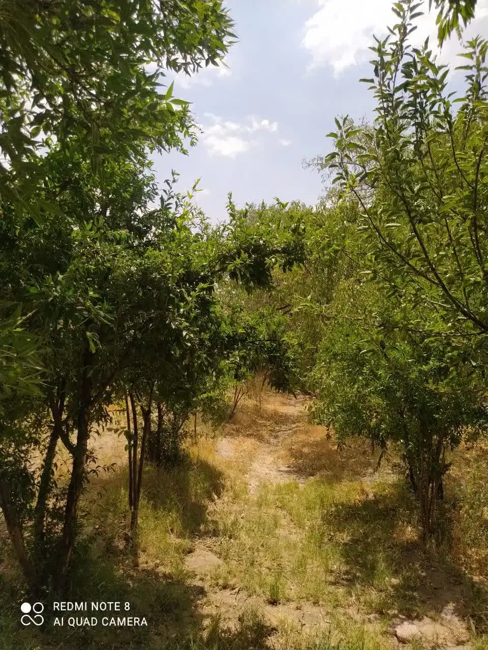 خانه باغ کران قابل معاوضه