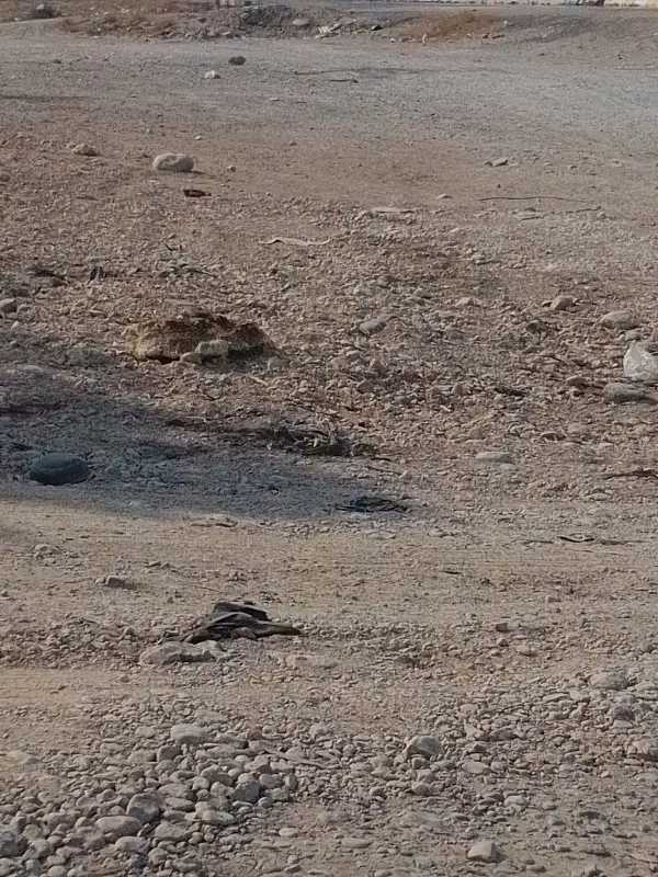 زمین سیصد متری دادگستری