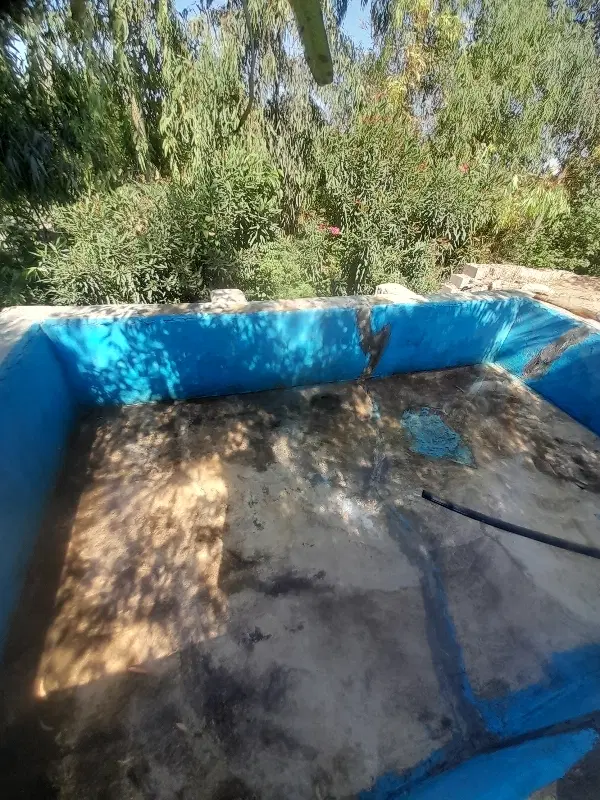 زمین کشاورزی