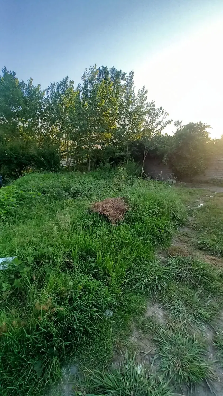 زمین ۲۰۰ متری بر جاده