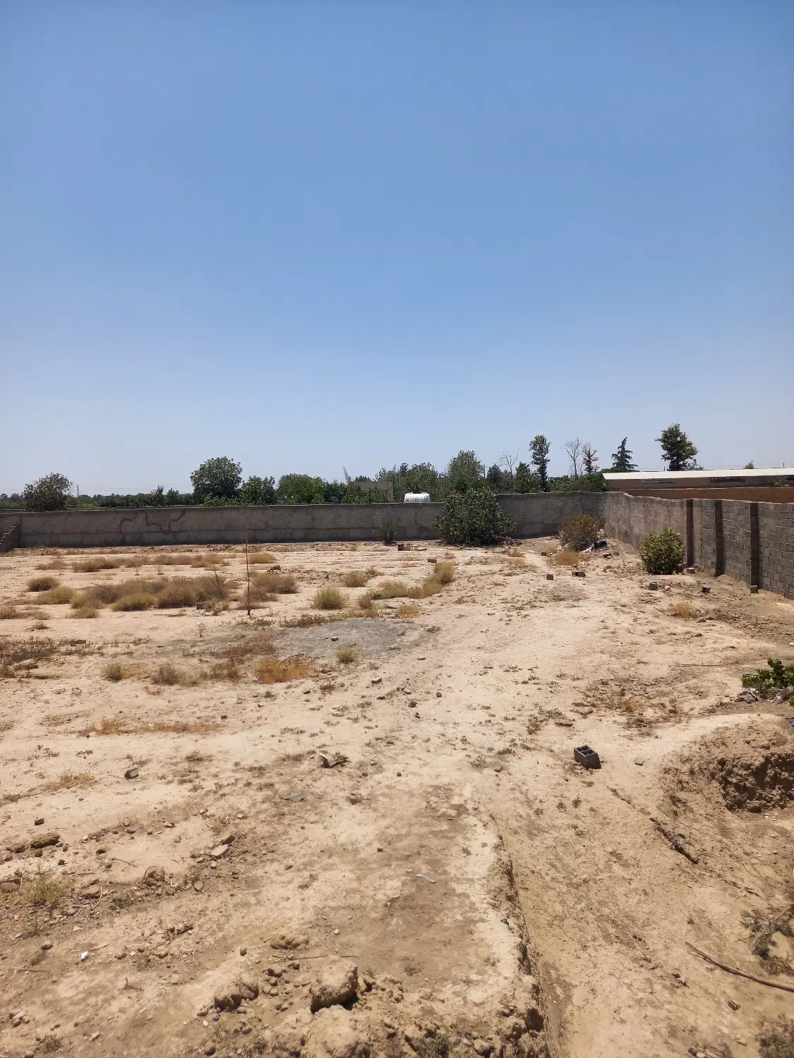 واگذاری زمین ودامداری
