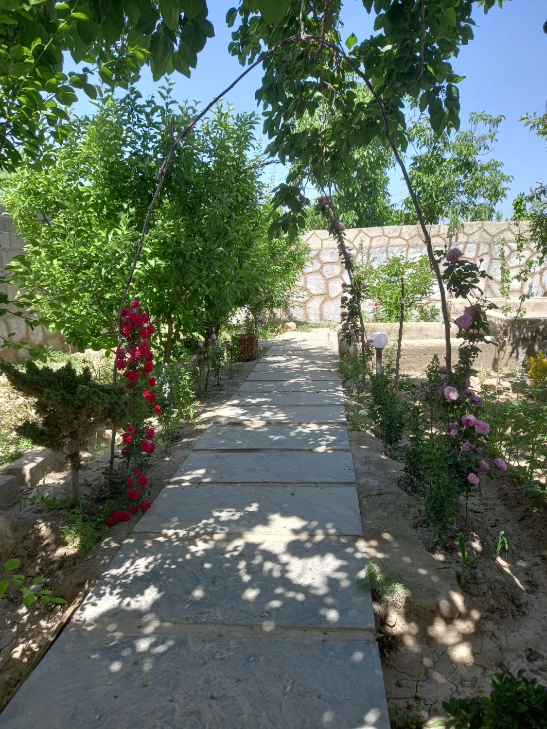 باغ و باغچه