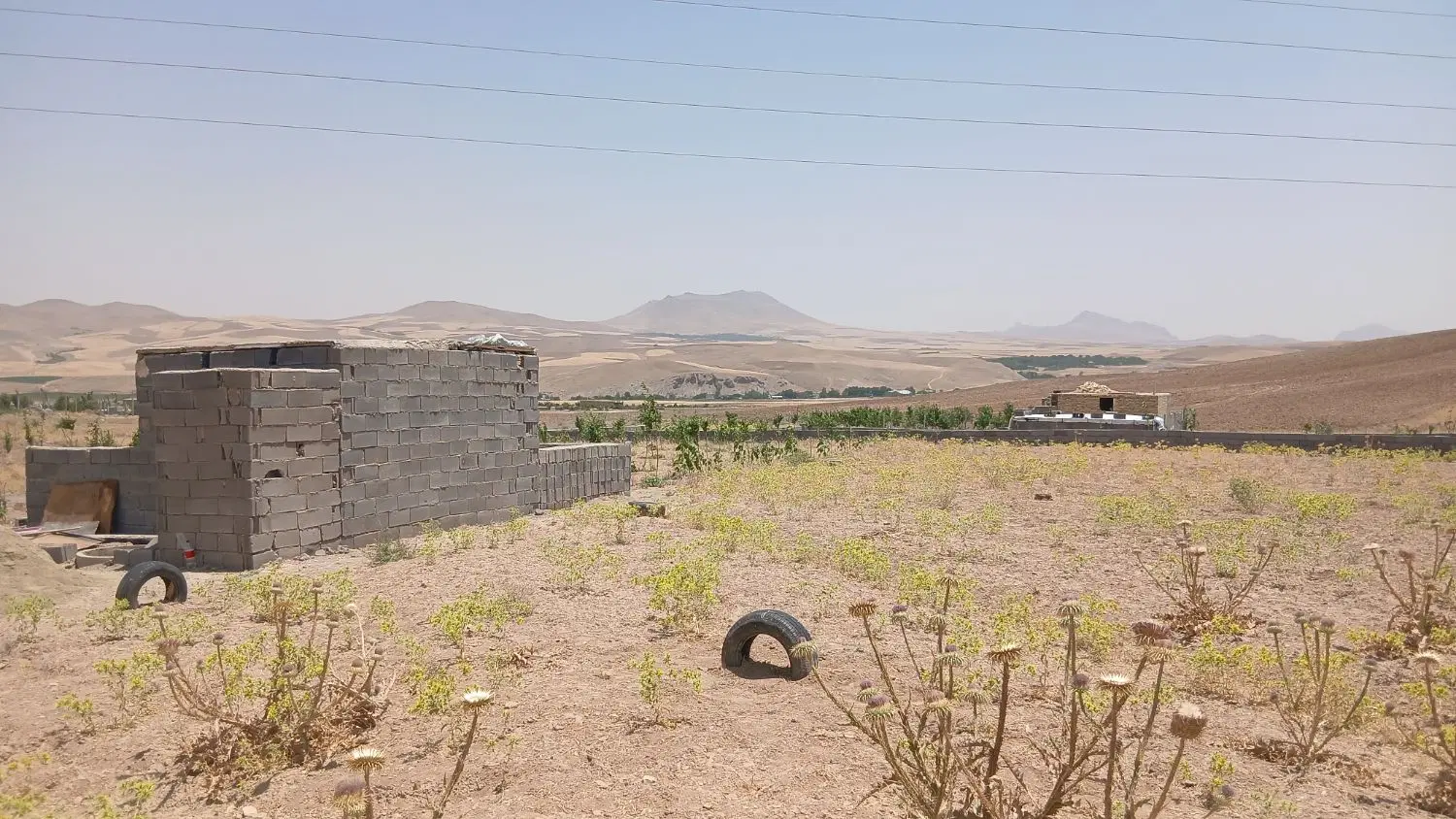 زمین باغی