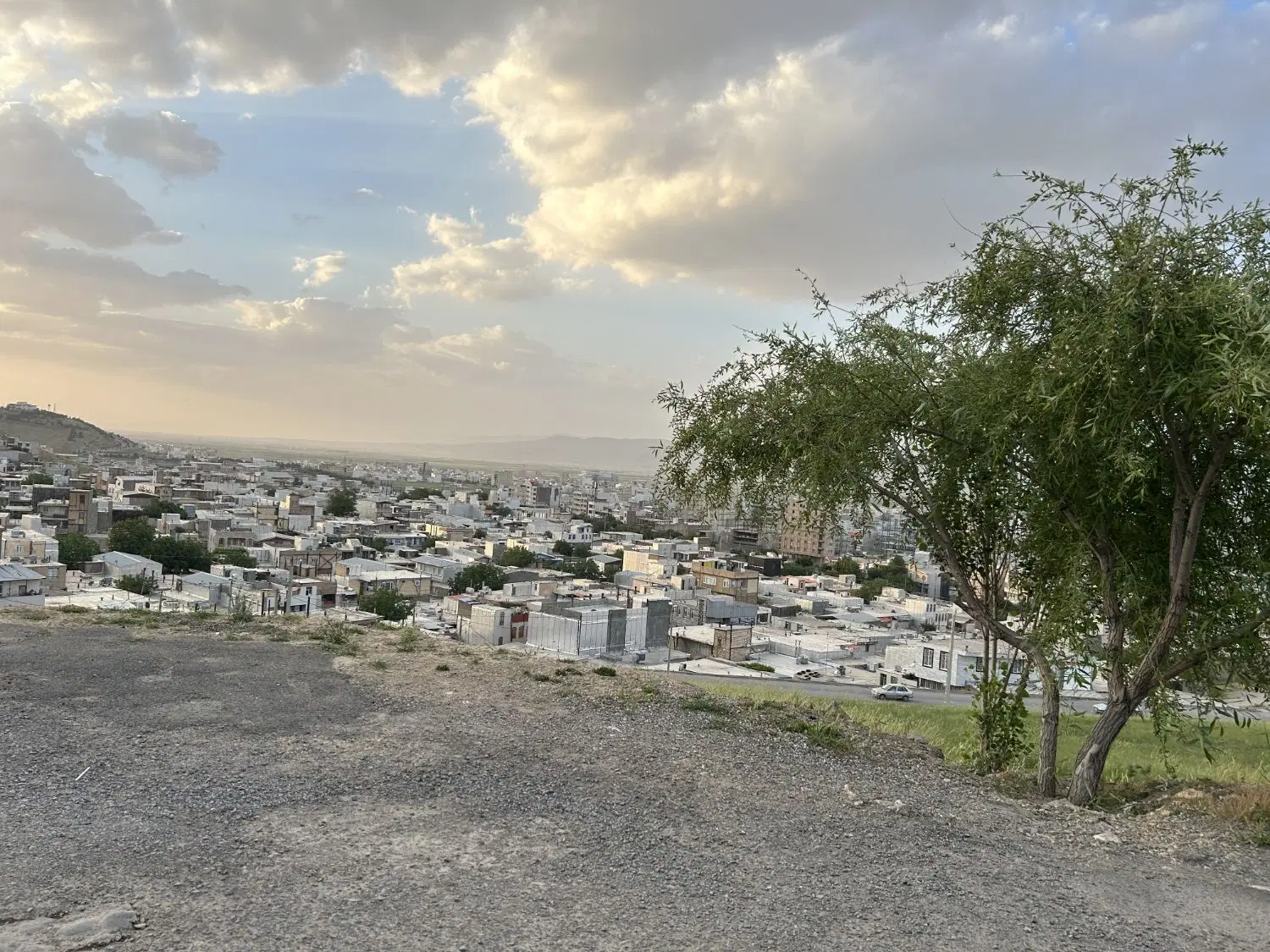 هم خونه