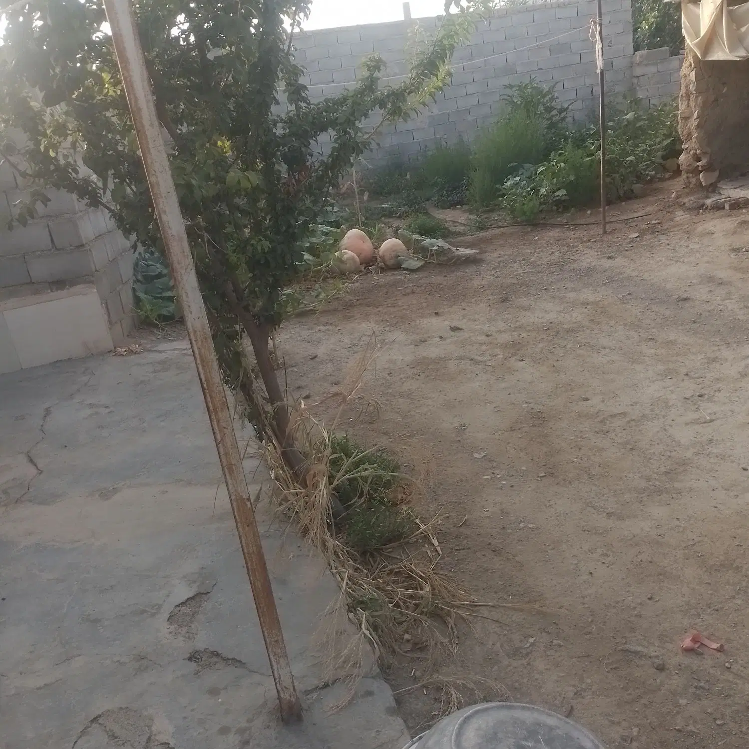 حیاط مسکونی  شیروان روستای حسین اباد
