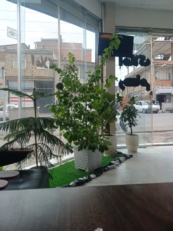 رهن کامل  و رهن اجاره