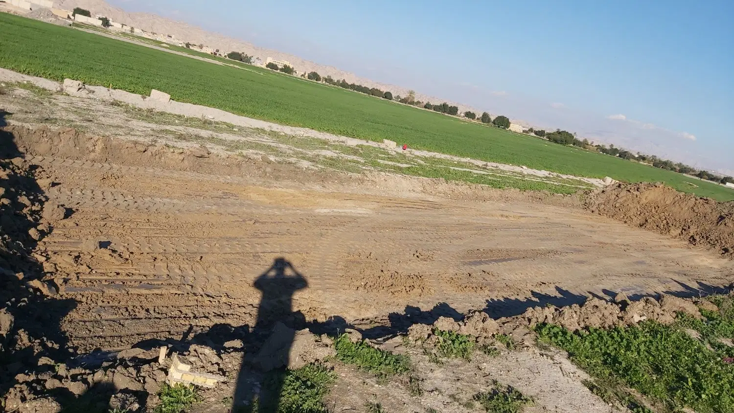 زمین