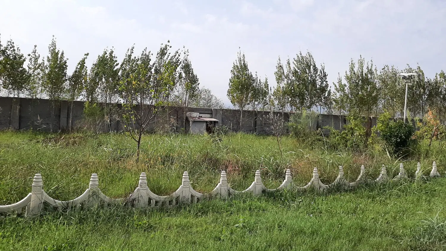 باغ ۳۰۰۰متری در شمال کشور
