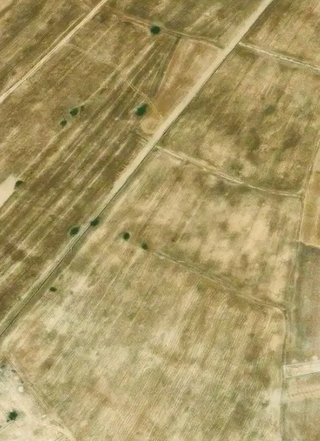 فروش زمین جهت باغ