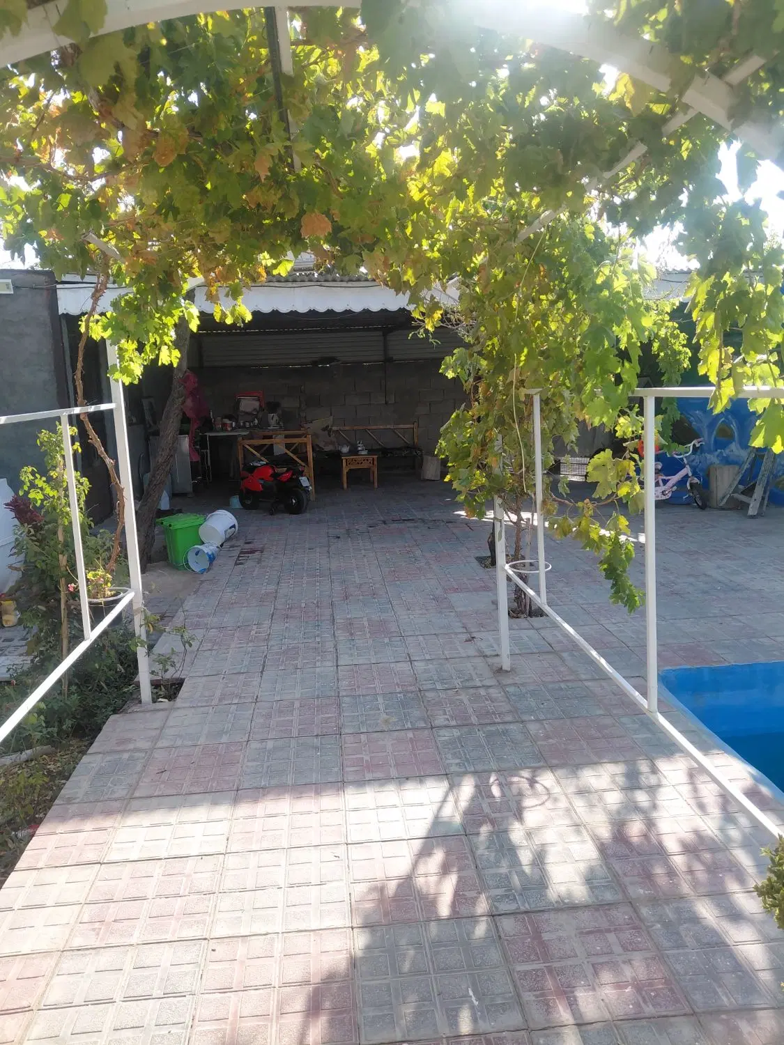 باغ ویلا