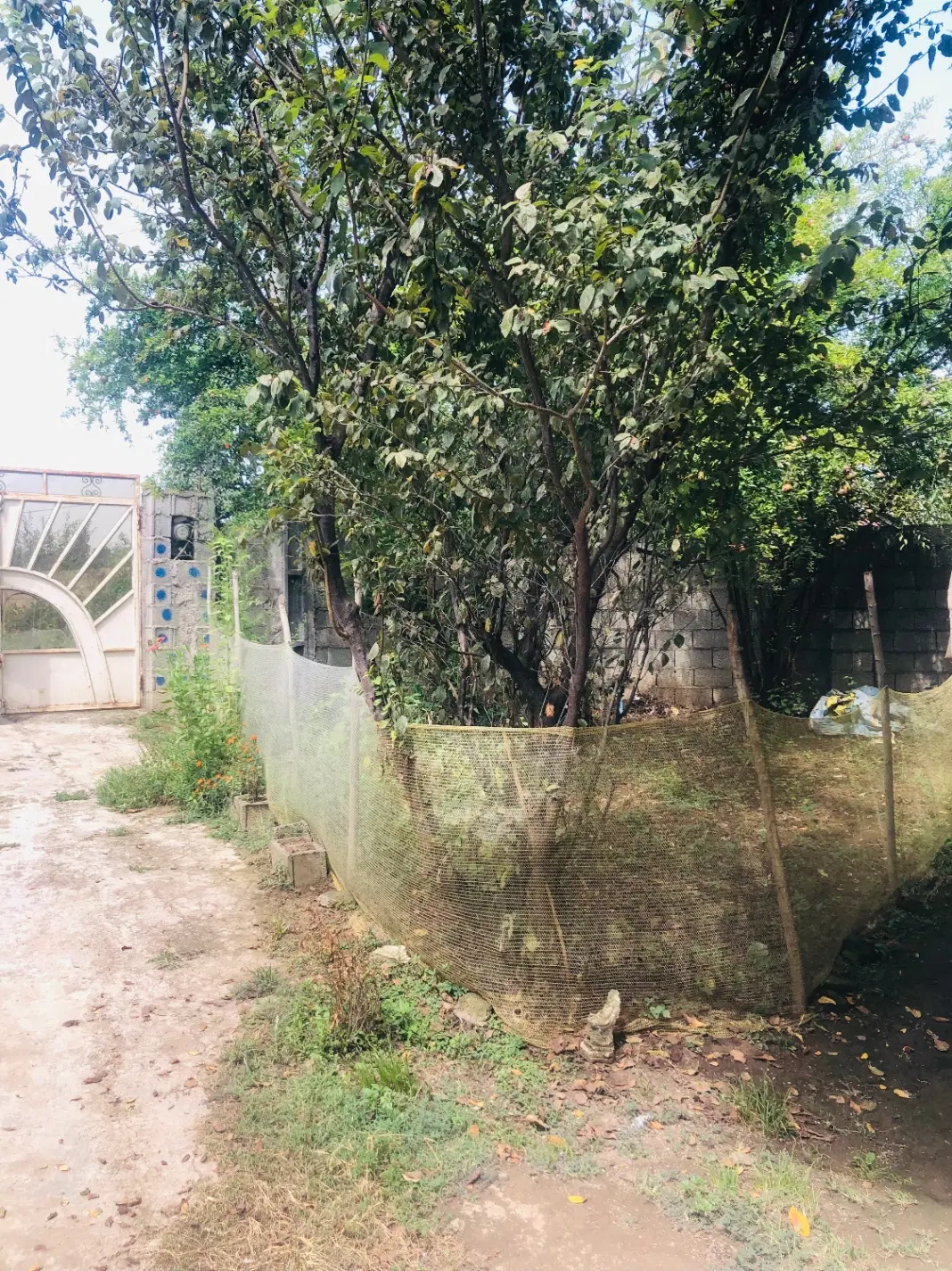 ویلا روستایی۵۰۰متری