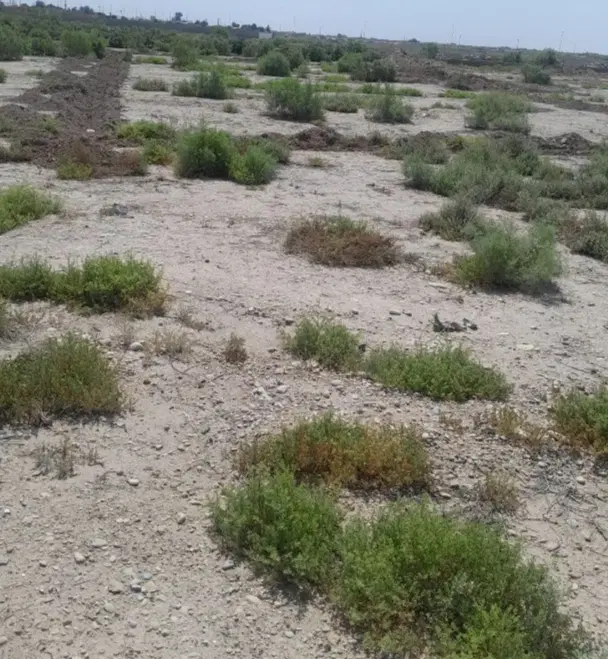فروش زمین