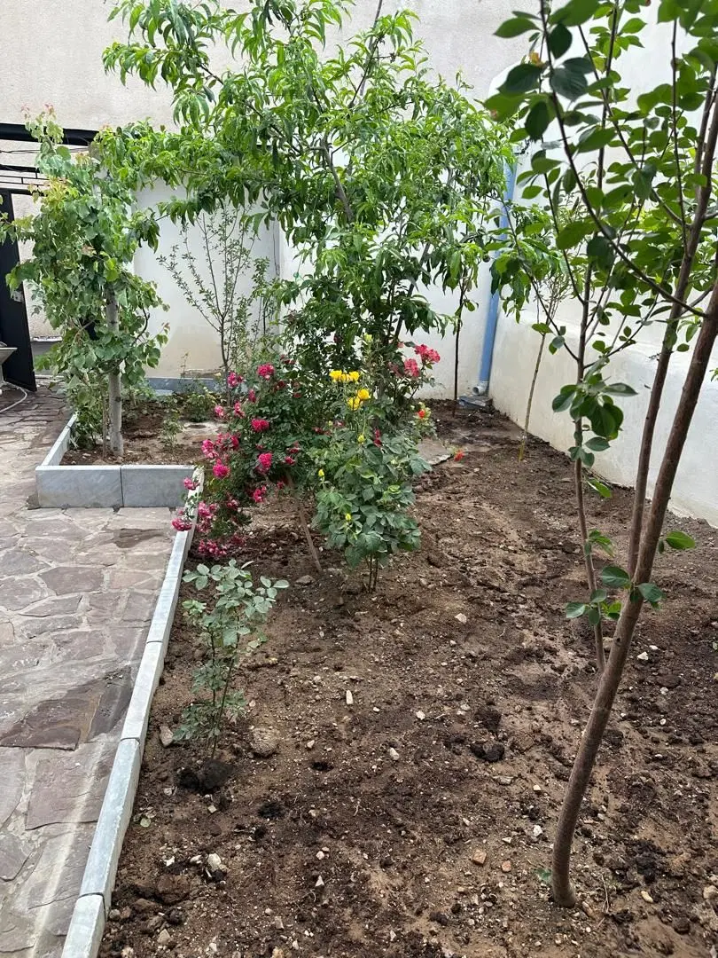 بنا قدیمی داخل بافت