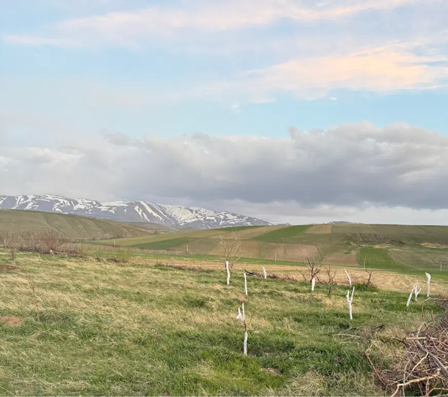 باغ ویلایی دارای استخر در اهر روستای دهستان