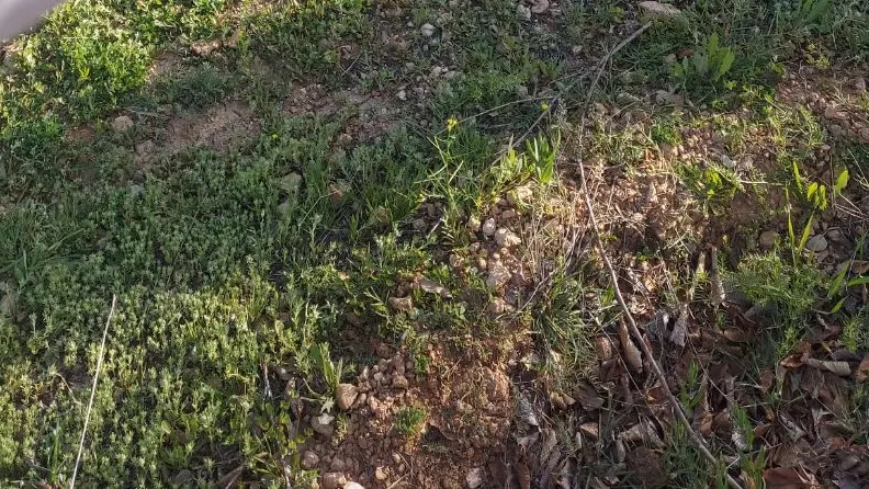 فروش باغشهری خالد آباد