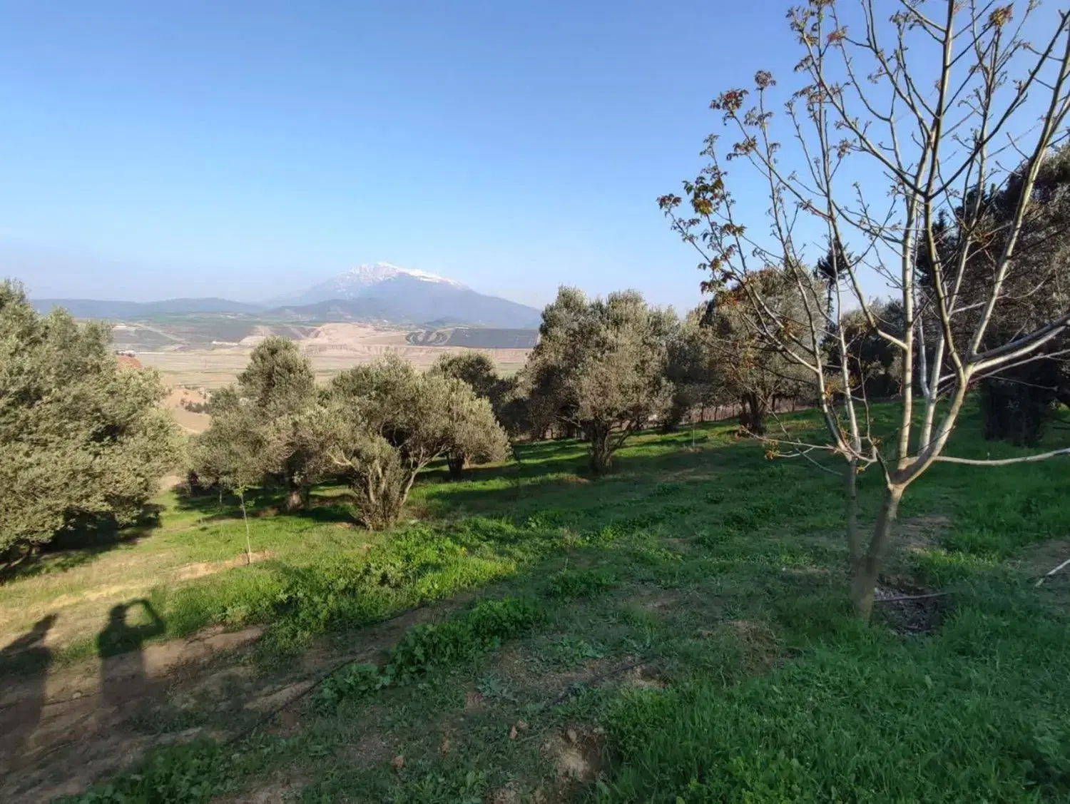 زمین مسکونی گیلان شهرستان رودبار بام شهر رستم آباد