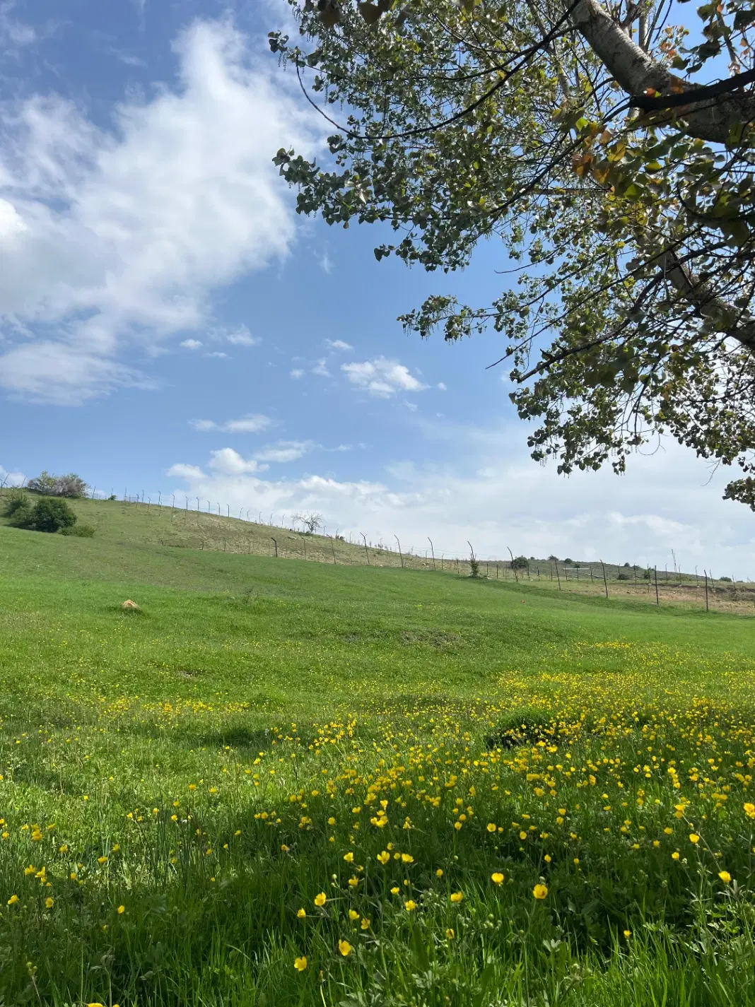 فروش زمین مسکونی در گلستان ۱۵