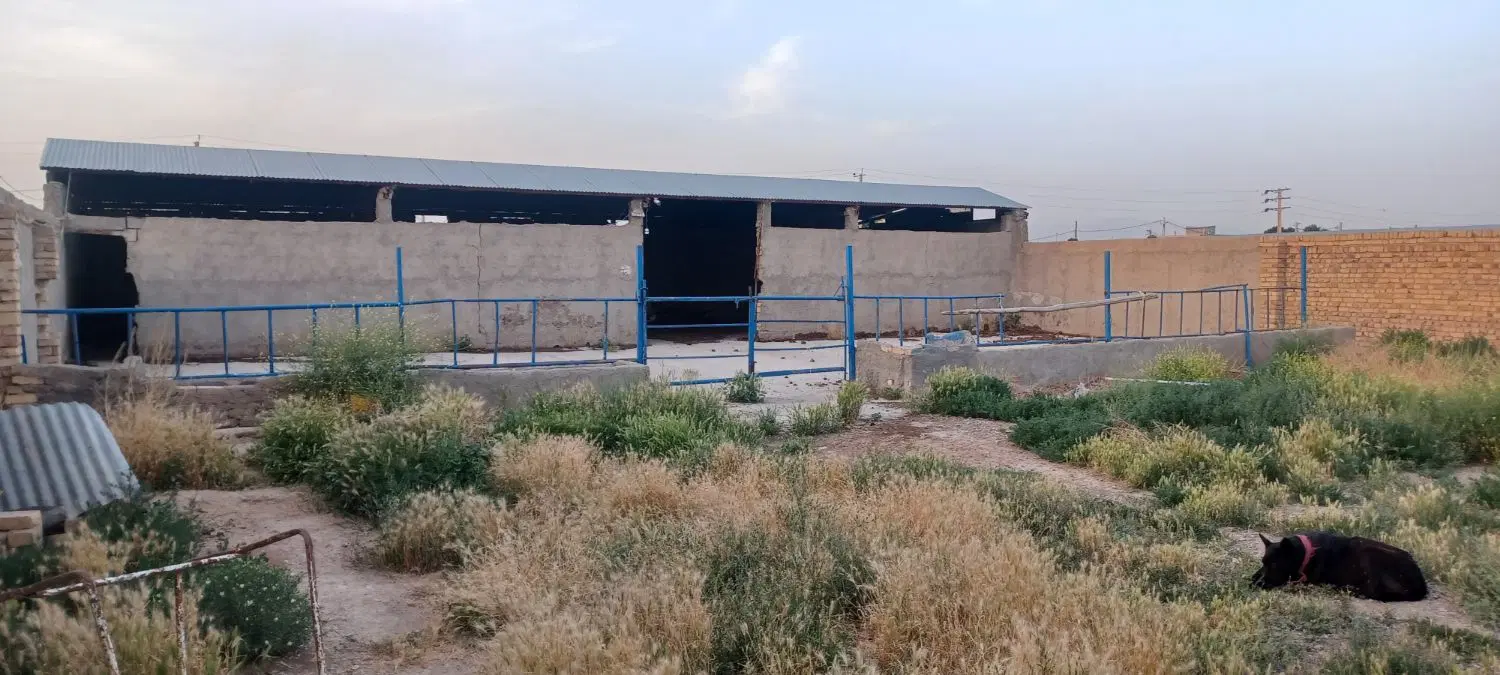 ملک در روستای خاکشان