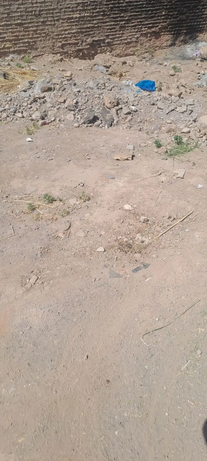 زمین قطعه ی 786