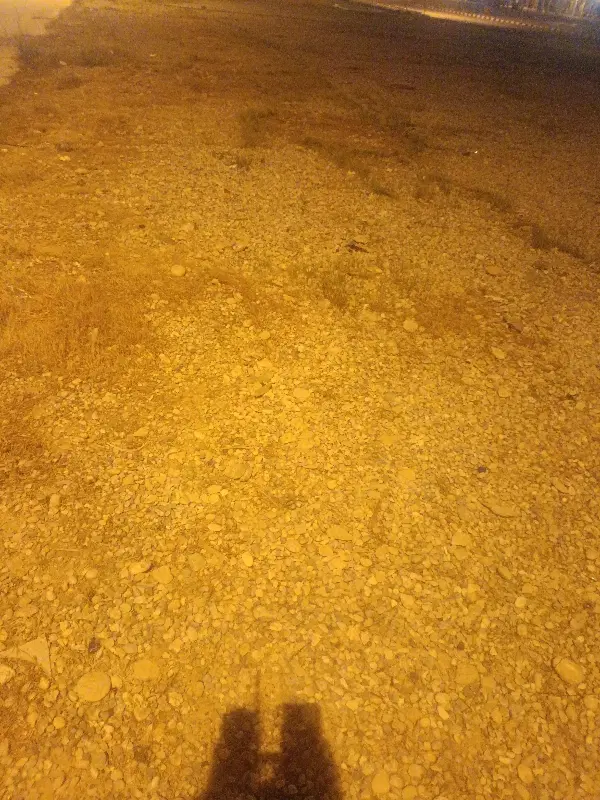 زمین مسکونی