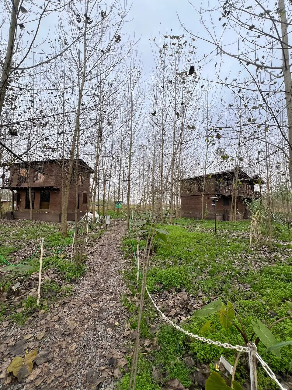 این فرصت طلایی را از دست نده