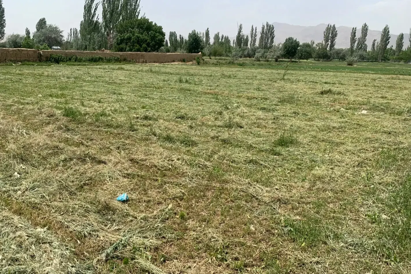 فروش دو‌قطعه زمین دوبر در پارک شهر