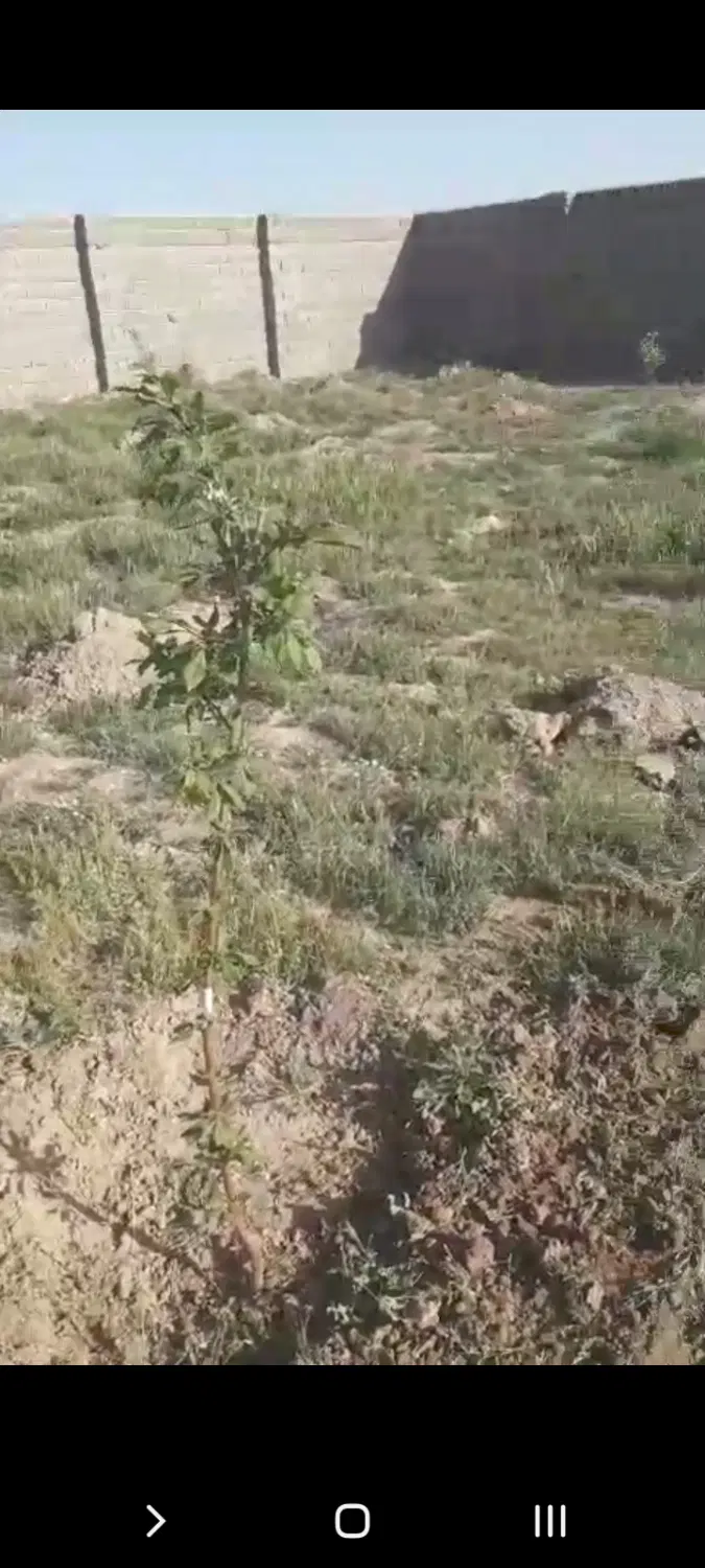 باغ کشاورزی امکان ساخت