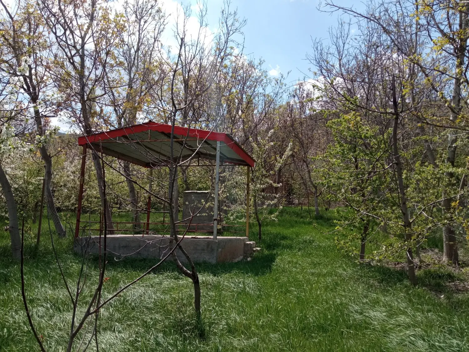 باغ ۸۰۰ متری بازخانه