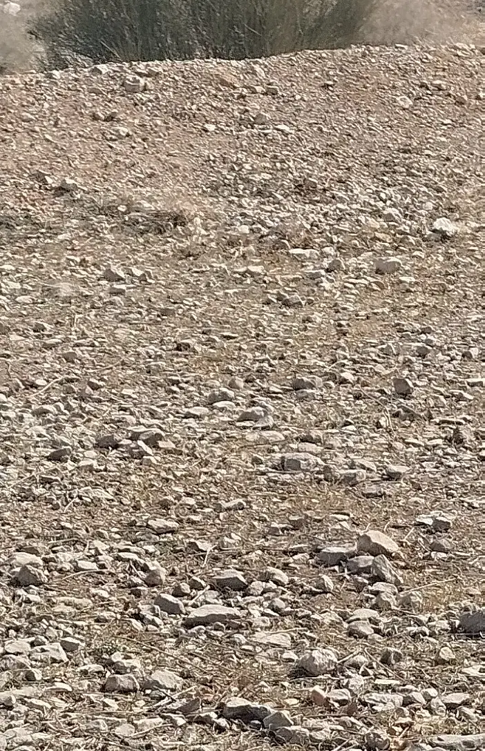 مرودشت زمین تجاری و مسکونی باکدکاتب سند ۲۲۰ متر