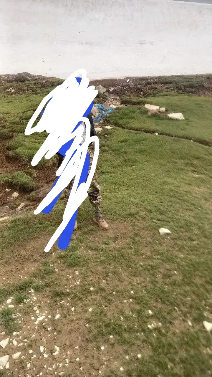 اجاره مرتع در لاسم