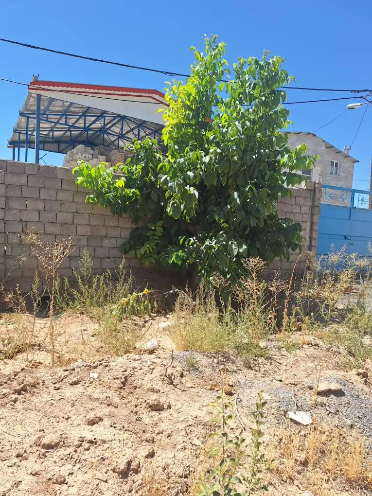 زمین مسکونی خانه باغی ۴۶۰ متری