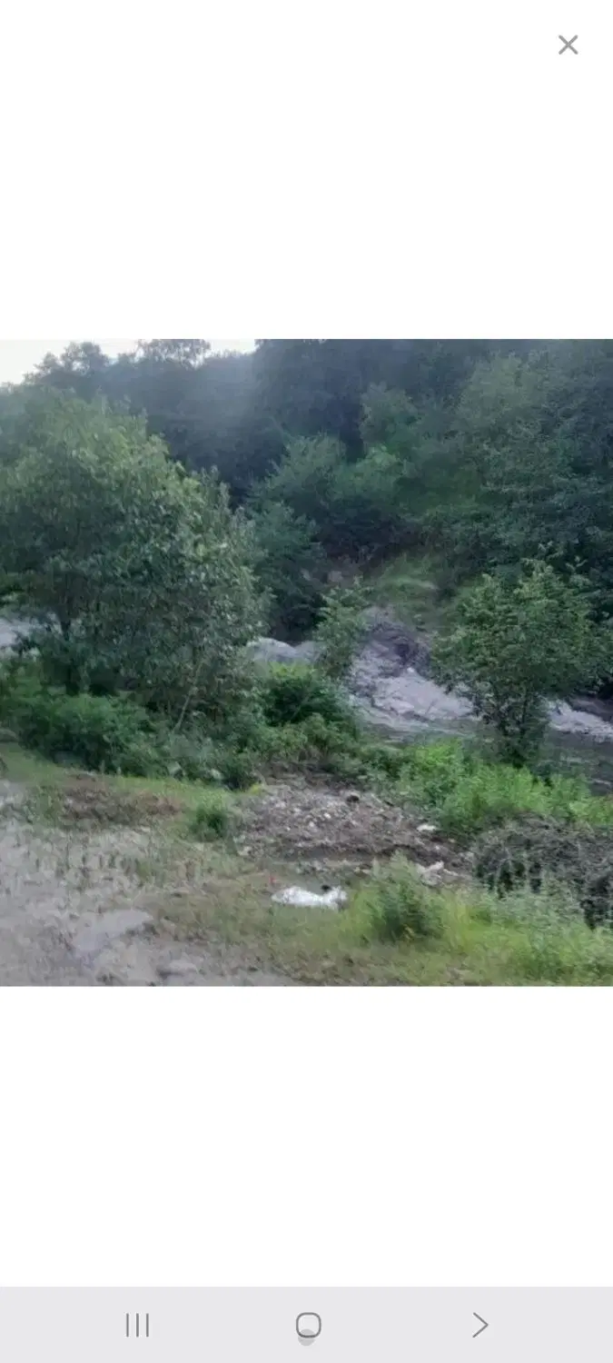 زمین