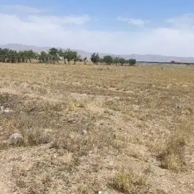 زمین کشاورزی