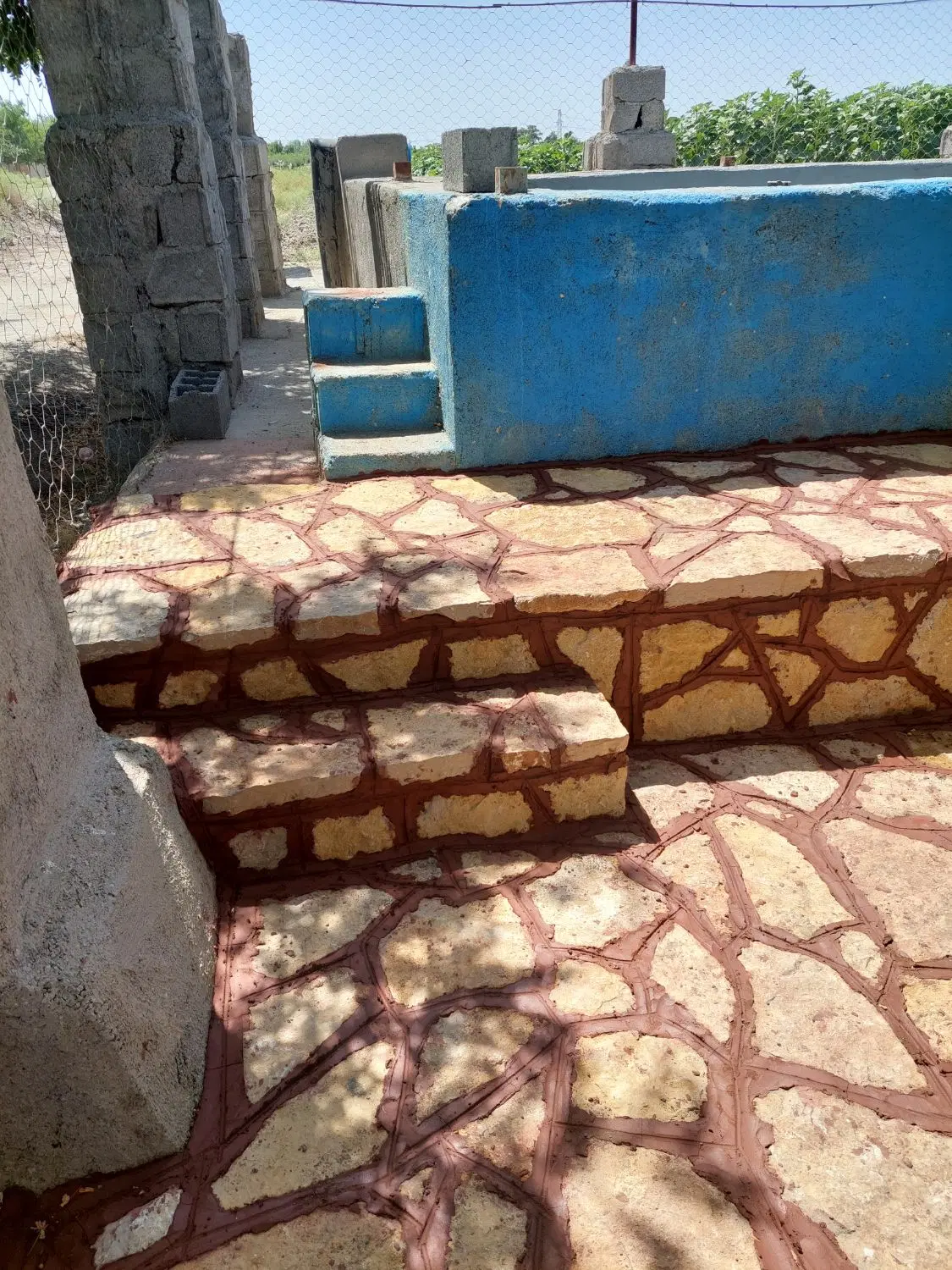 باغ انواع میوه پر بار خین عرب