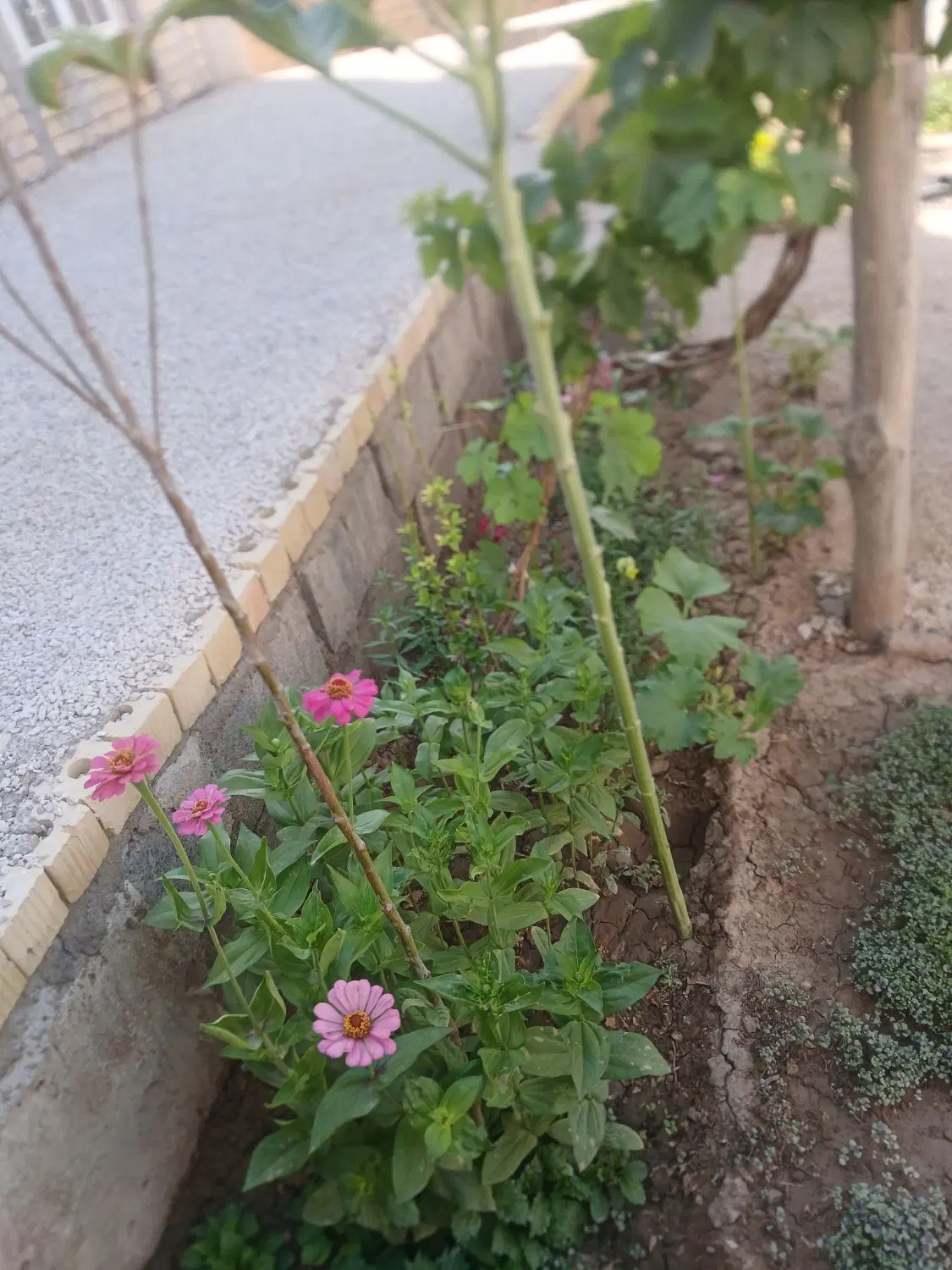 منزل فروش سندتک برگ مجوز دوطبق باوام ورودی رشمیجان