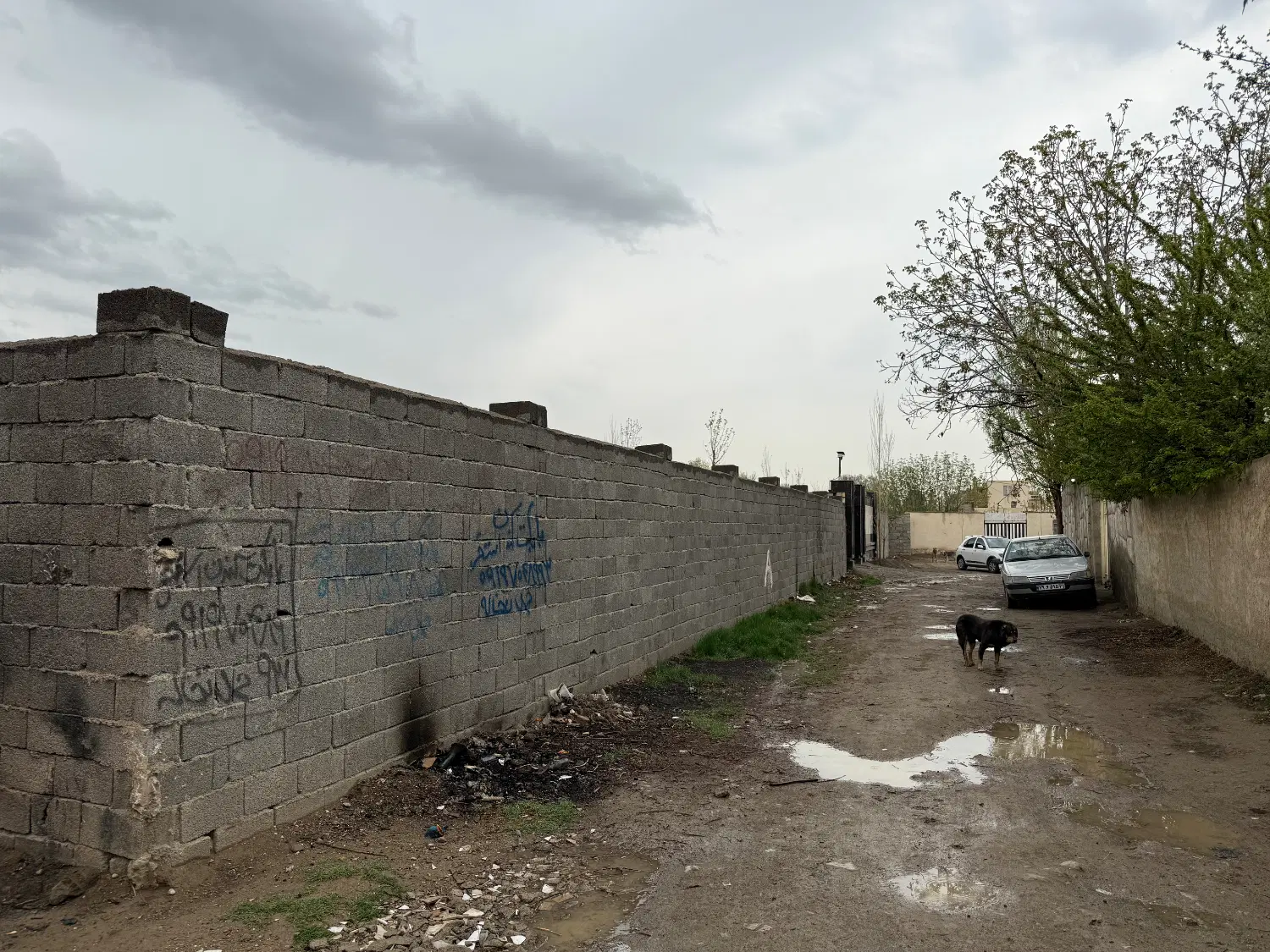 ۴۰۰ متر زمین باغی نقد و اقساط