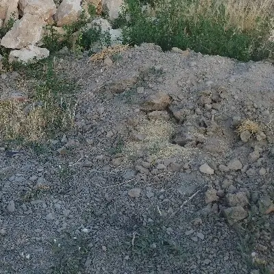 زمین اینگیجه