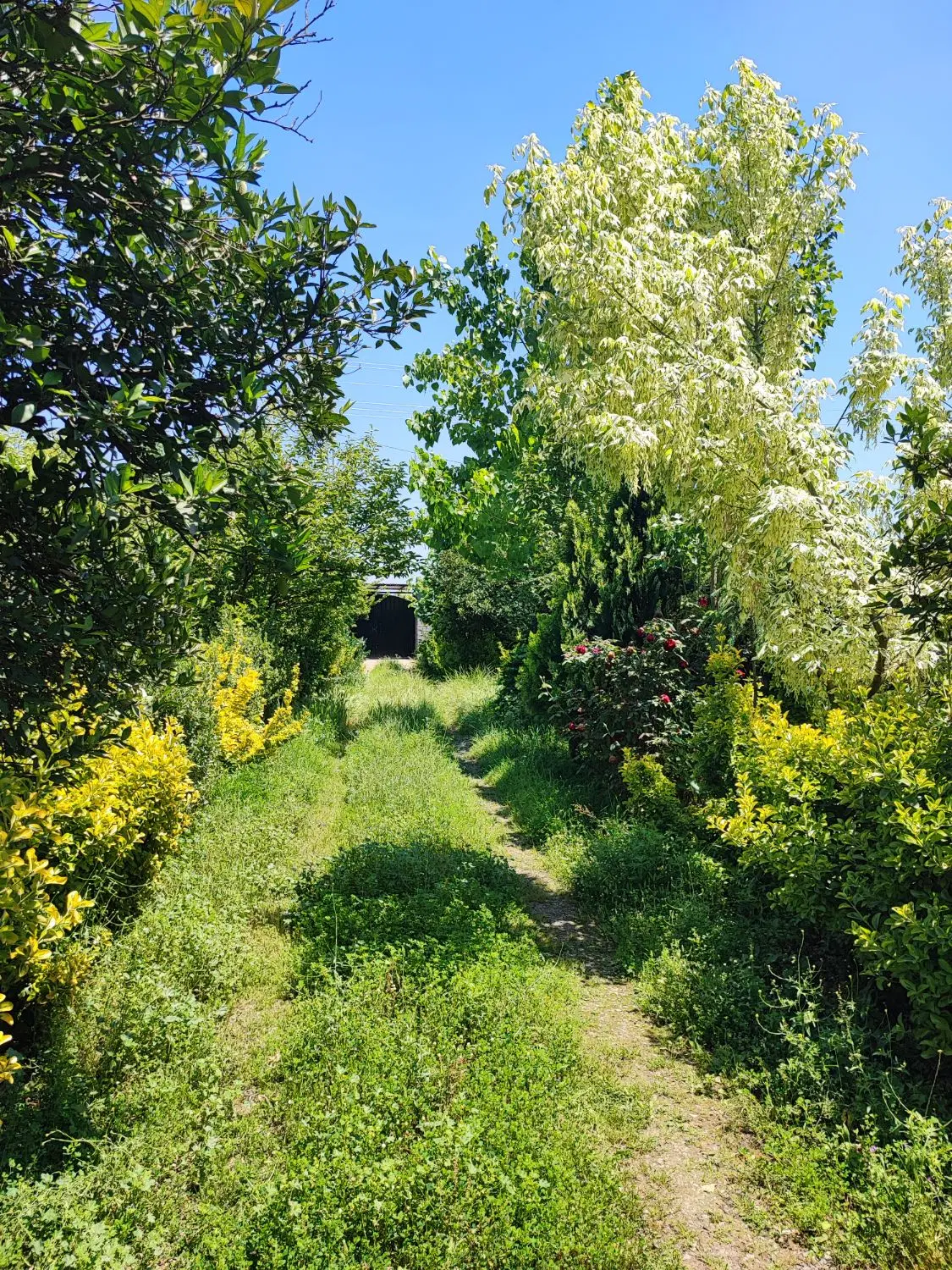 اجاره سالانه خانه باغ مبله و سنتی