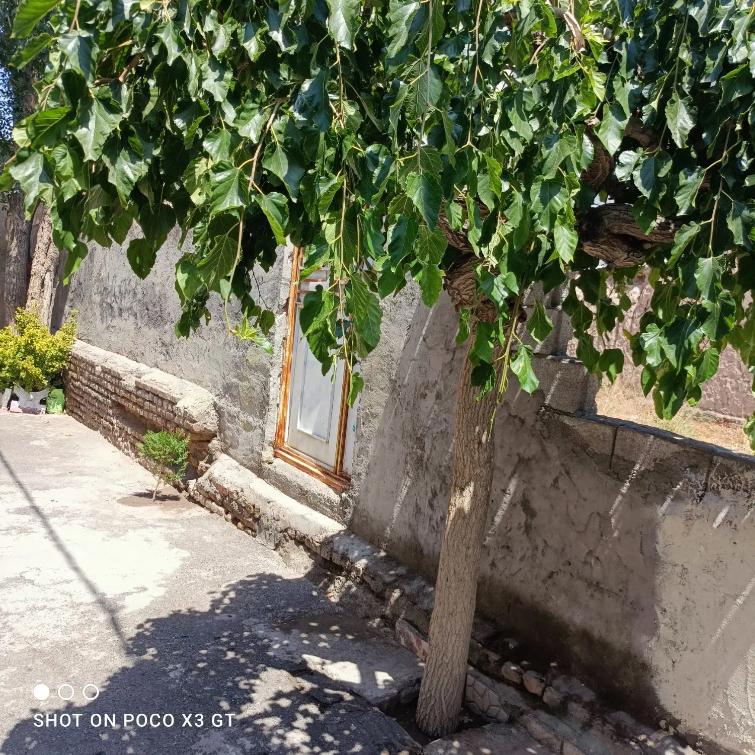 زمین برای ساخت خونه