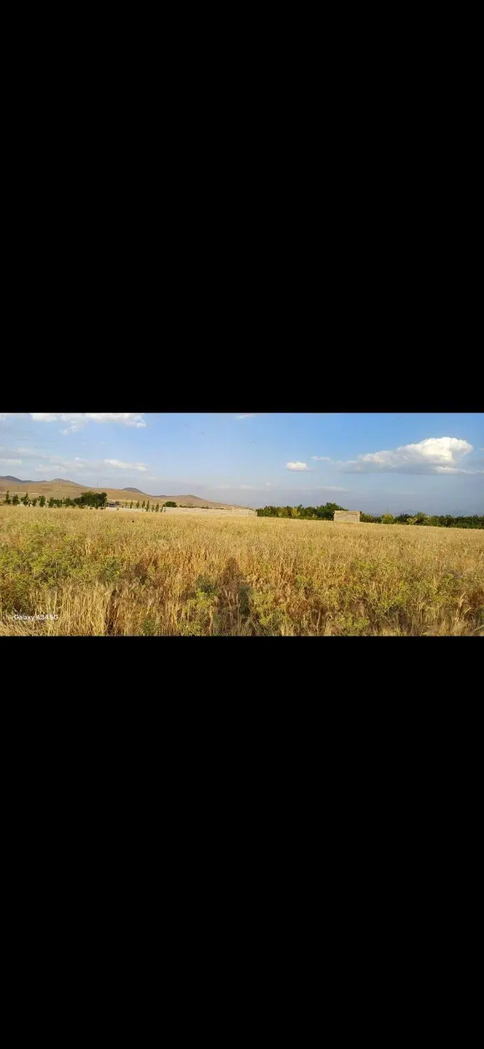 زمین باغی نزدیک باغ سارینا